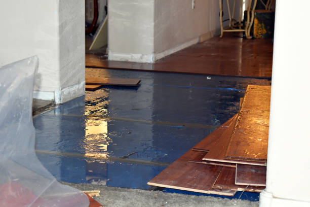 Professional Basement Flood Cleanup technician working in Central, UT